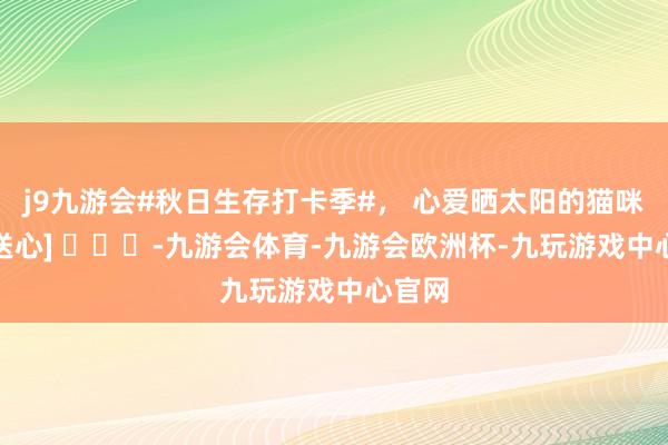 j9九游会#秋日生存打卡季#， 心爱晒太阳的猫咪们~[送心] ​​​-九游会体育-九游会欧洲杯-九玩游戏中心官网