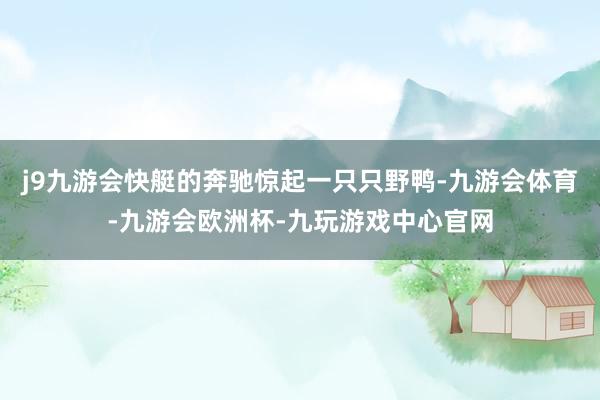 j9九游会快艇的奔驰惊起一只只野鸭-九游会体育-九游会欧洲杯-九玩游戏中心官网