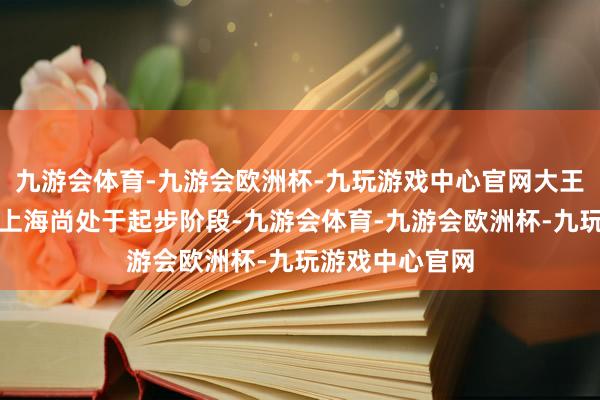 九游会体育-九游会欧洲杯-九玩游戏中心官网大王人主题乐土在上海尚处于起步阶段-九游会体育-九游会欧洲杯-九玩游戏中心官网