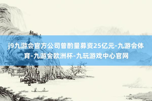 j9九游会官方　　公司曾酌量募资25亿元-九游会体育-九游会欧洲杯-九玩游戏中心官网