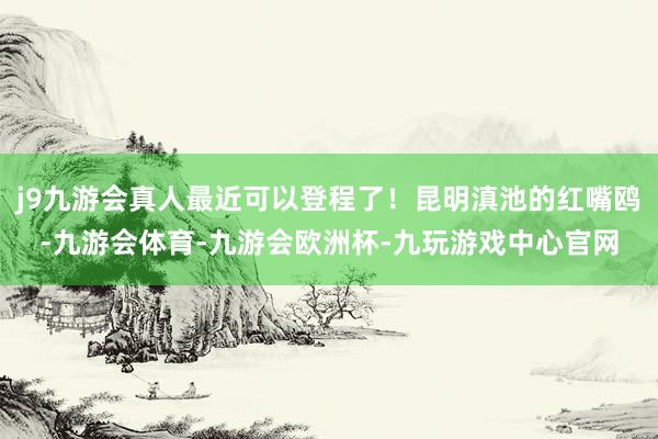 j9九游会真人最近可以登程了!昆明滇池的红嘴鸥-九游会体育-九游会欧洲杯-九玩游戏中心官网