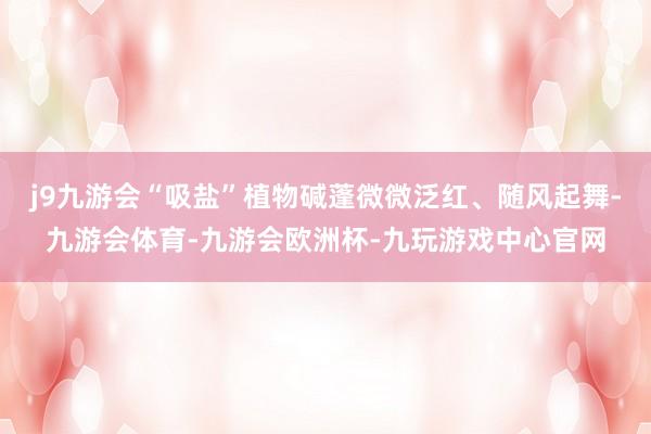 j9九游会“吸盐”植物碱蓬微微泛红、随风起舞-九游会体育-九游会欧洲杯-九玩游戏中心官网