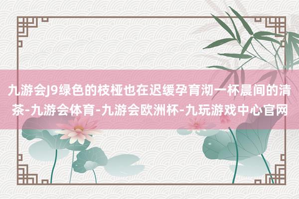九游会J9绿色的枝桠也在迟缓孕育沏一杯晨间的清茶-九游会体育-九游会欧洲杯-九玩游戏中心官网