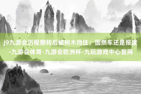 j9九游会历程翻转后被树木挡住；固然车还是报废-九游会体育-九游会欧洲杯-九玩游戏中心官网
