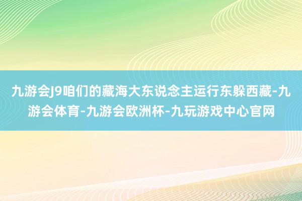 九游会J9咱们的藏海大东说念主运行东躲西藏-九游会体育-九游会欧洲杯-九玩游戏中心官网