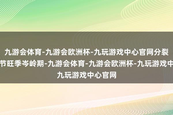 九游会体育-九游会欧洲杯-九玩游戏中心官网分裂为：春节旺季岑岭期-九游会体育-九游会欧洲杯-九玩游戏中心官网