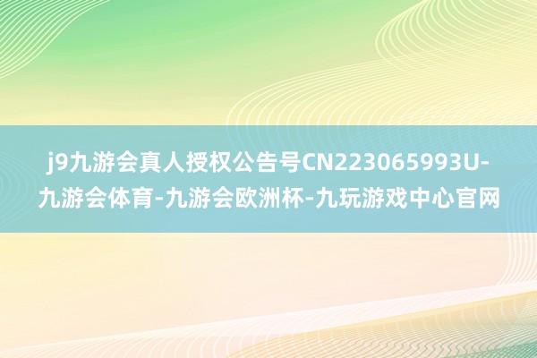 j9九游会真人授权公告号CN223065993U-九游会体育-九游会欧洲杯-九玩游戏中心官网