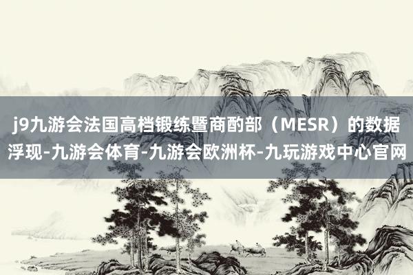 j9九游会法国高档锻练暨商酌部（MESR）的数据浮现-九游会体育-九游会欧洲杯-九玩游戏中心官网