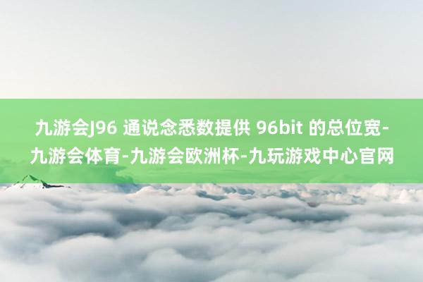九游会J96 通说念悉数提供 96bit 的总位宽-九游会体育-九游会欧洲杯-九玩游戏中心官网