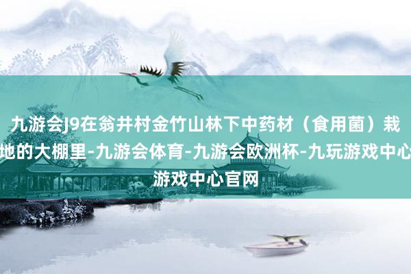 九游会J9在翁井村金竹山林下中药材（食用菌）栽种基地的大棚里-九游会体育-九游会欧洲杯-九玩游戏中心官网
