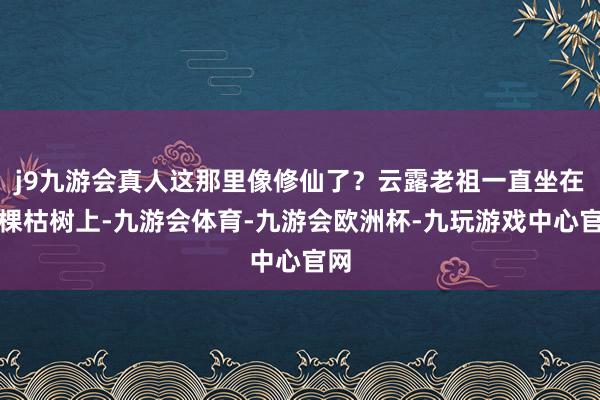 j9九游会真人这那里像修仙了?云露老祖一直坐在一棵枯树上-九游会体育-九游会欧洲杯-九玩游戏中心官网